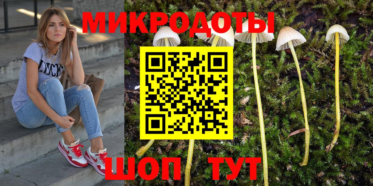 Галлюциногенные грибы Psilocybine cubensis  Вход с VPN  Псилоцибиновые грибы прущие грибы  как найти   Реутов 