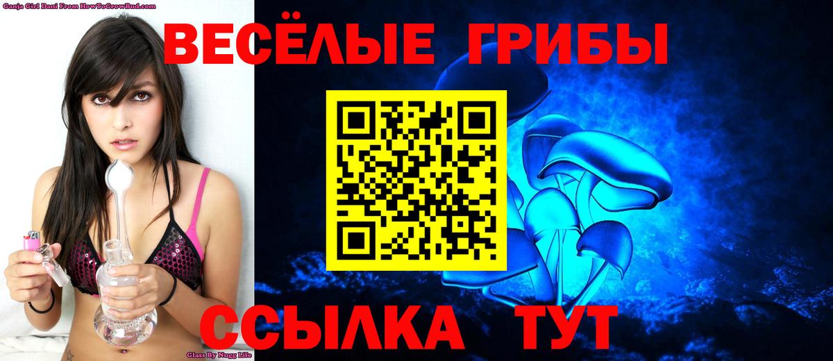 Галлюциногенные грибы GOLDEN TEACHER Реутов